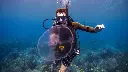 PADI Underwater Photography (Basic)