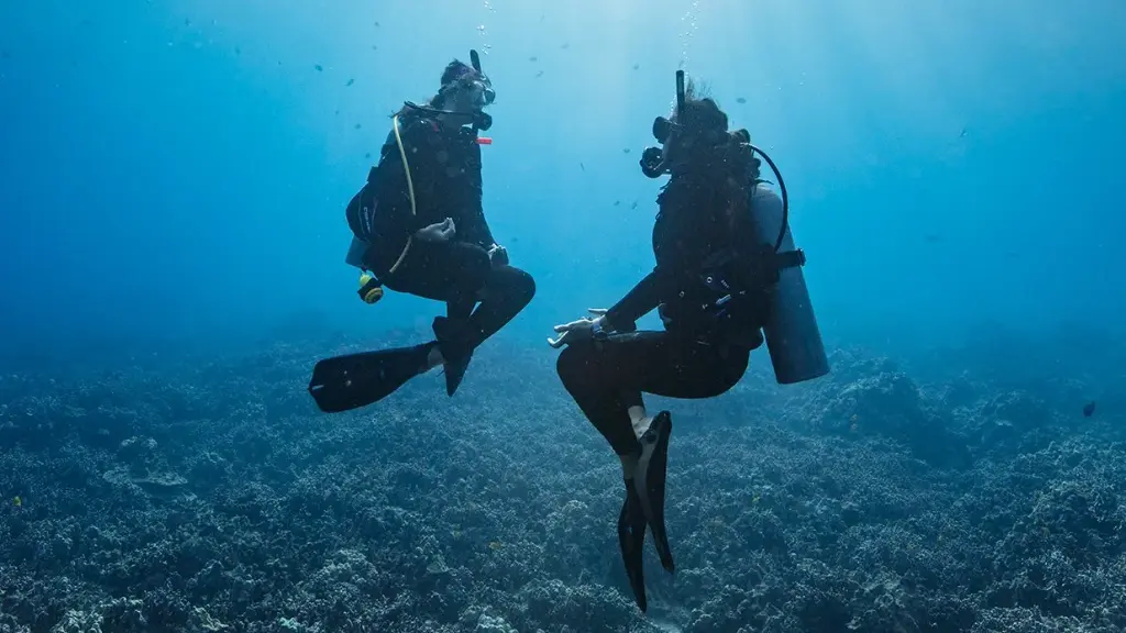 PADI Peak Performance Buoyancy
