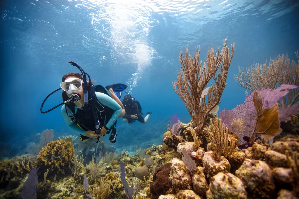 Destination_PADI 6.webp