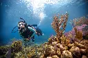 Destination_PADI 6.webp