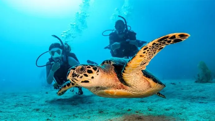 PADI Open Water Diver