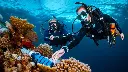 PADI Dive Against Debris Specialty