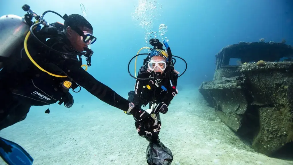PADI Dive Against Debris Specialty