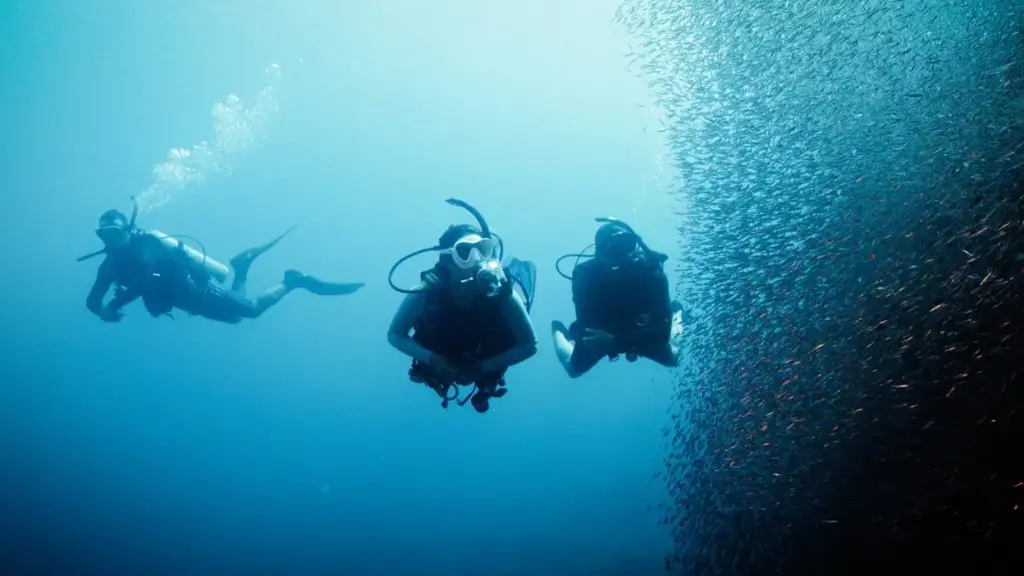 PADI Deep Diver Specialty