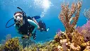 PADI Open Water Diver