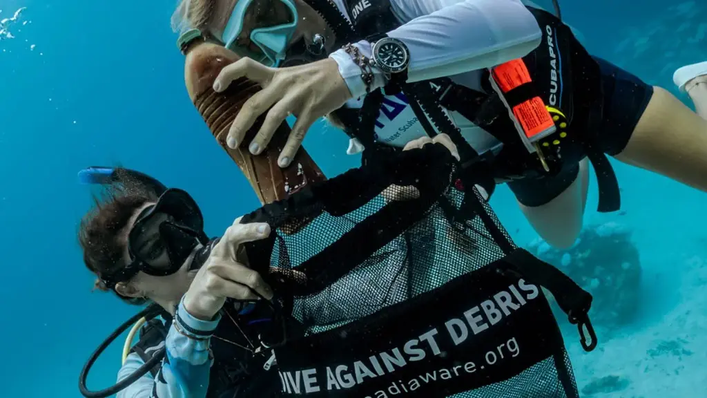 PADI Dive Against Debris Specialty
