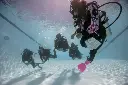 Discover Scuba Diving