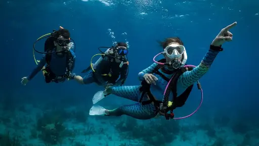 [CRS-AOW] PADI Advanced Open Water Diver