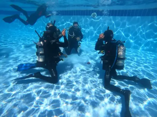 Master Instructor Preparation - Auditing 2 IDCs